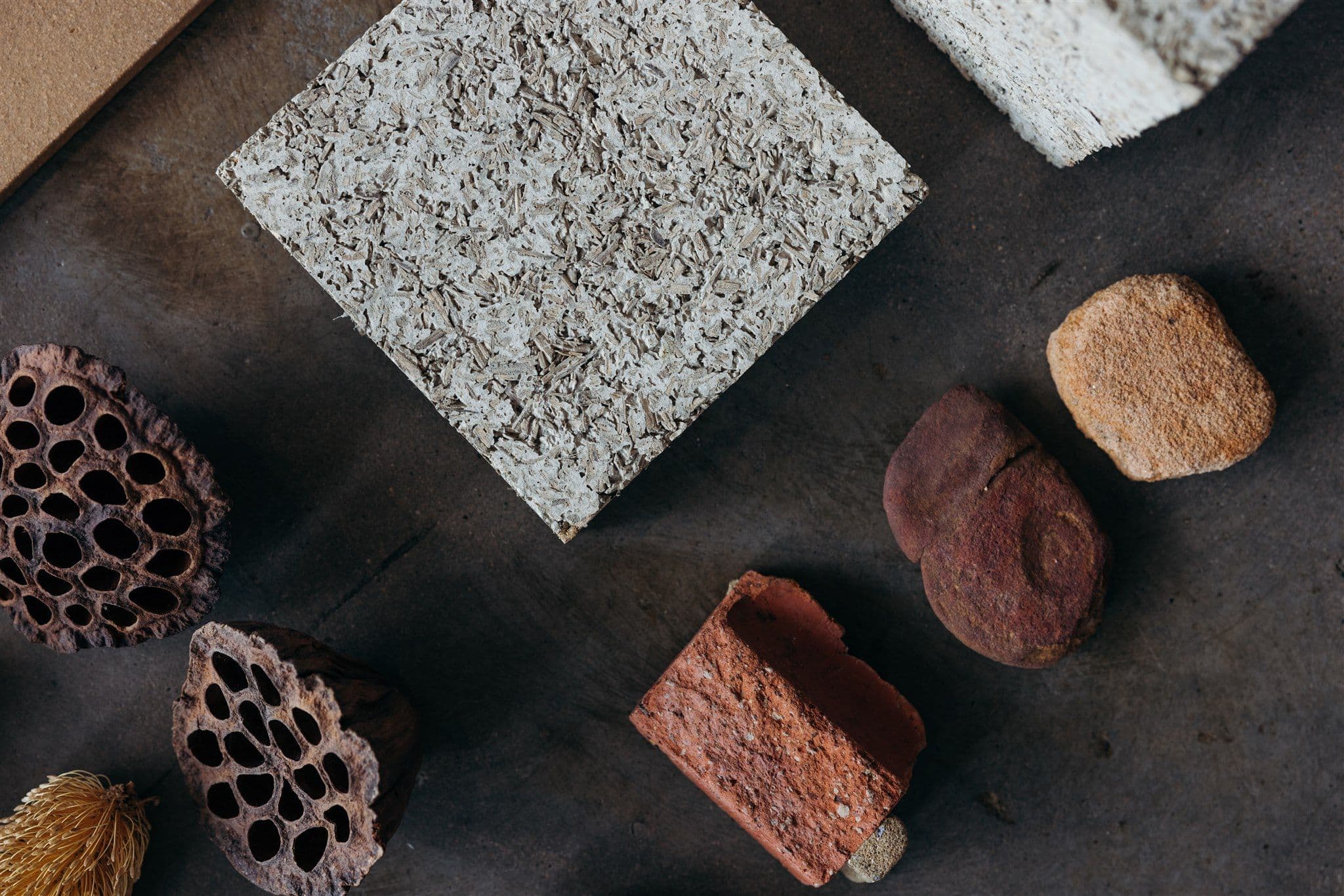 Living Canvas Panels