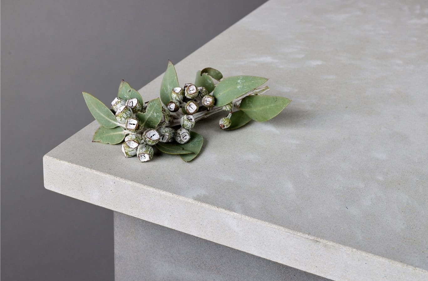 Engineered Benchtop Detail